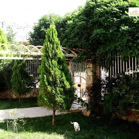 Villa 6 Rooms 1 Living Room Magnificent Sea View Kusadasi
